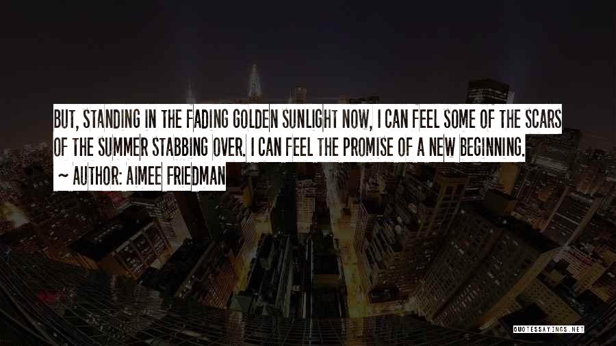 Summer Is Fading Quotes By Aimee Friedman