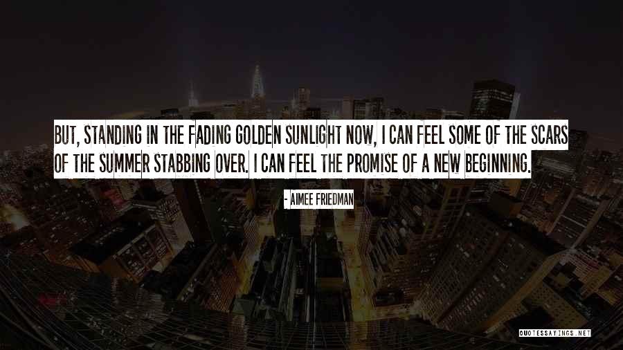 Summer Is Fading Quotes By Aimee Friedman