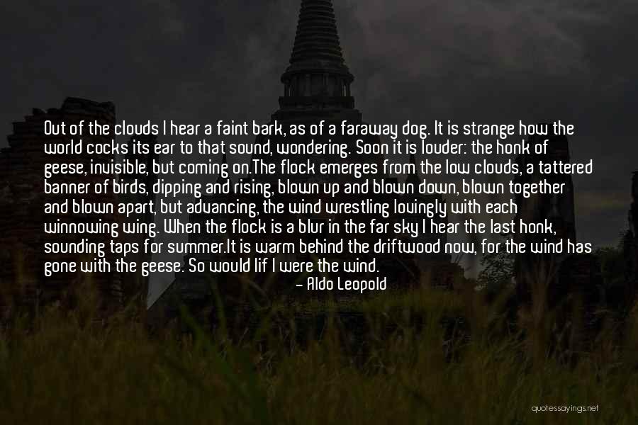Summer Is Gone Quotes By Aldo Leopold Summer Is Gone Quotes By Aldo Leopold