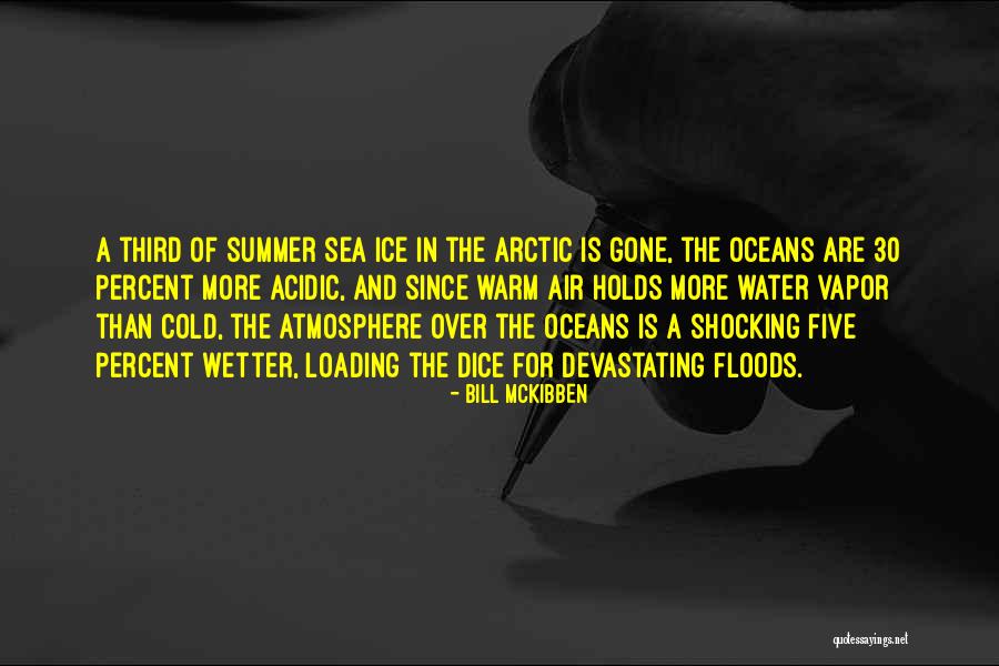 Summer Is Gone Quotes By Bill McKibben Summer Is Gone Quotes By Bill McKibben