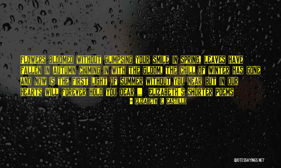 Summer Is Gone Quotes By Elizabeth E. Castillo Summer Is Gone Quotes By Elizabeth E. Castillo