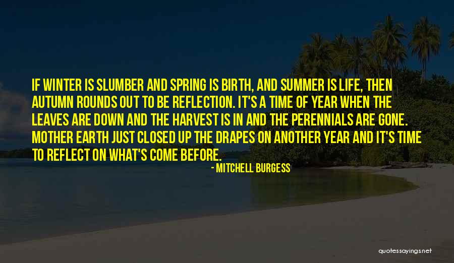 Summer Is Gone Quotes By Mitchell Burgess Summer Is Gone Quotes By Mitchell Burgess