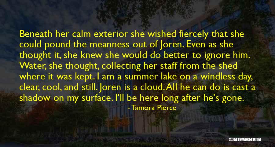 Summer Is Gone Quotes By Tamora Pierce Summer Is Gone Quotes By Tamora Pierce