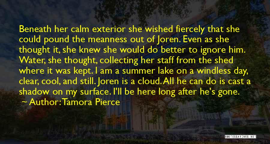 Summer Is Here Quotes By Tamora Pierce