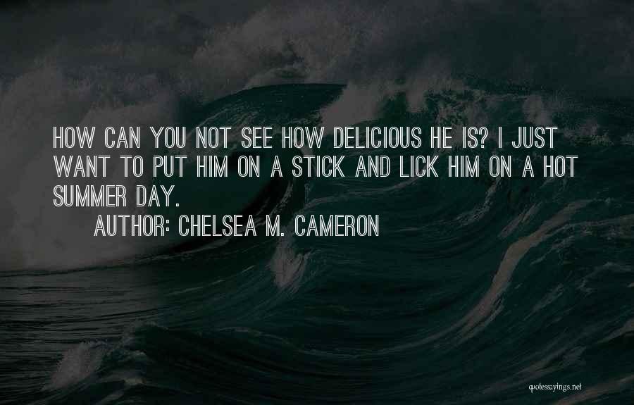 Summer Is Hot Quotes By Chelsea M. Cameron