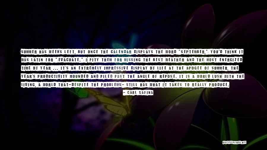 Summer Living Quotes By Carl Safina Summer Living Quotes By Carl Safina