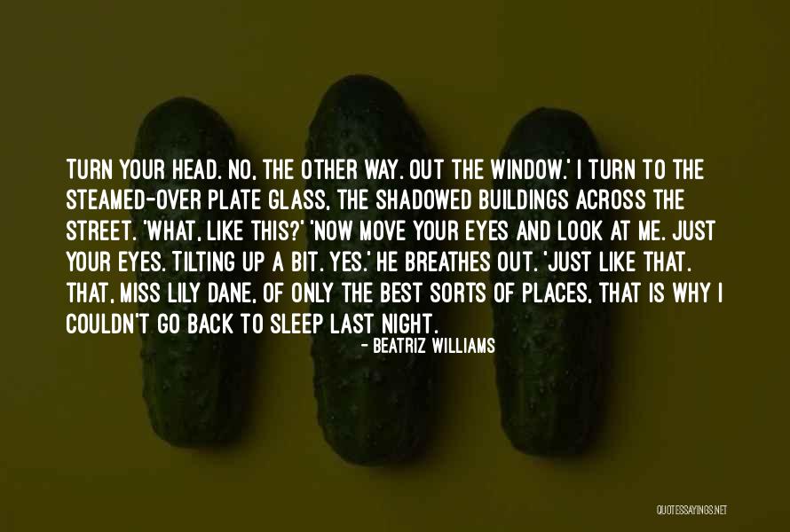 Summer Love Ending Quotes By Beatriz Williams