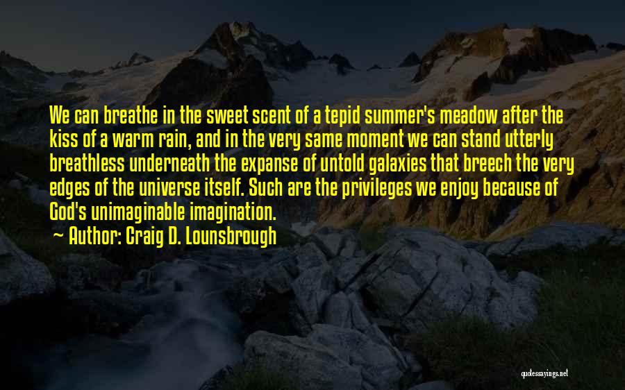 Summer Meadow Quotes By Craig D. Lounsbrough