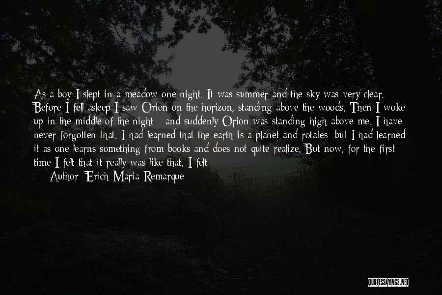 Summer Meadow Quotes By Erich Maria Remarque
