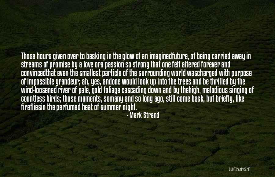 Summer Nostalgia Quotes By Mark Strand