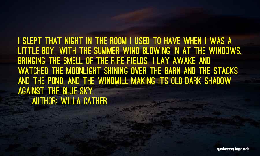 Summer Nostalgia Quotes By Willa Cather