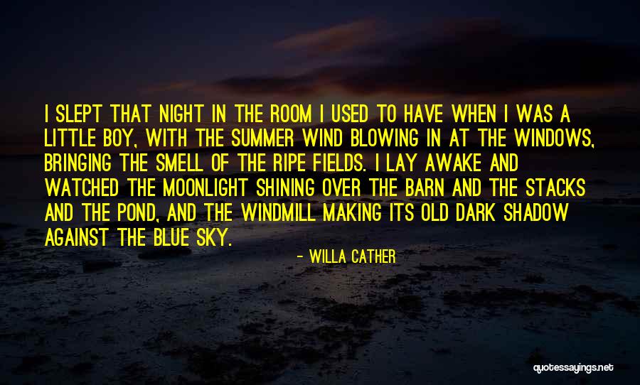 Summer Nostalgia Quotes By Willa Cather