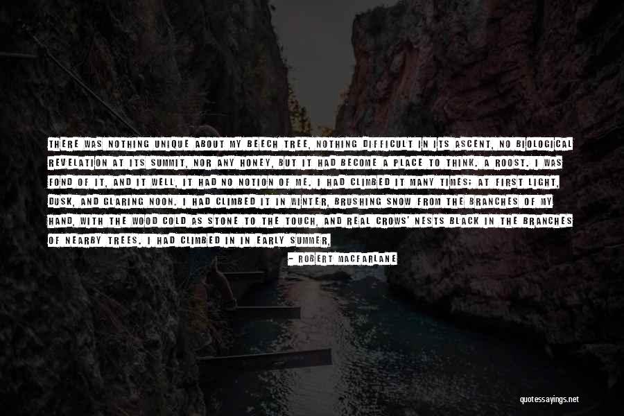 Summer Rain Quotes By Robert Macfarlane Summer Rain Quotes By Robert Macfarlane