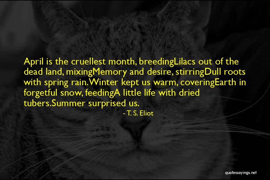 Summer Rain Quotes By T. S. Eliot Summer Rain Quotes By T. S. Eliot