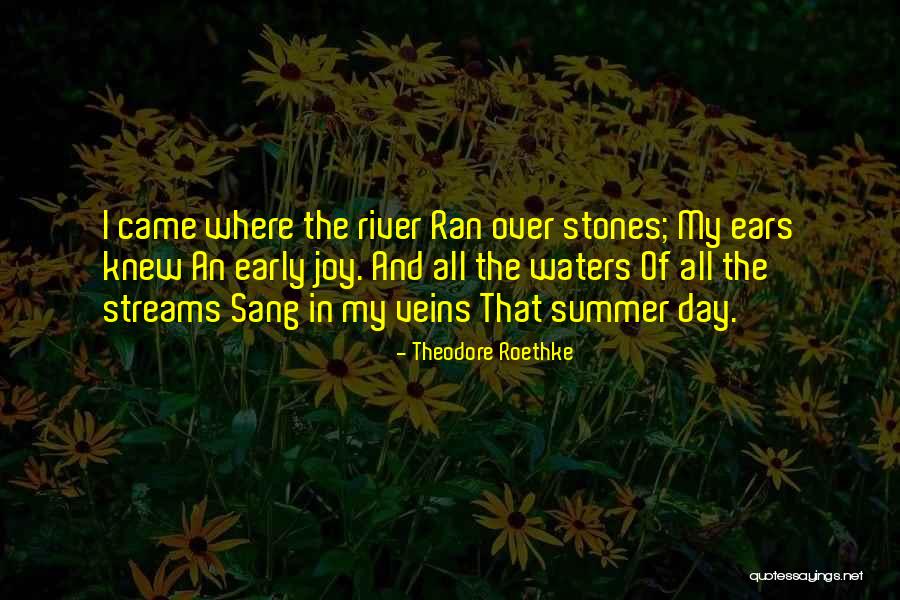 Summer Rain Quotes By Theodore Roethke Summer Rain Quotes By Theodore Roethke