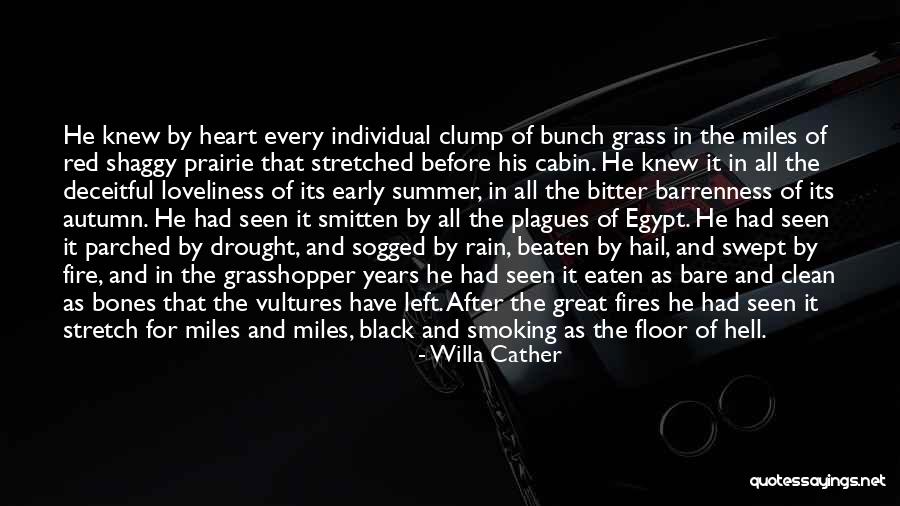Summer Rain Quotes By Willa Cather Summer Rain Quotes By Willa Cather