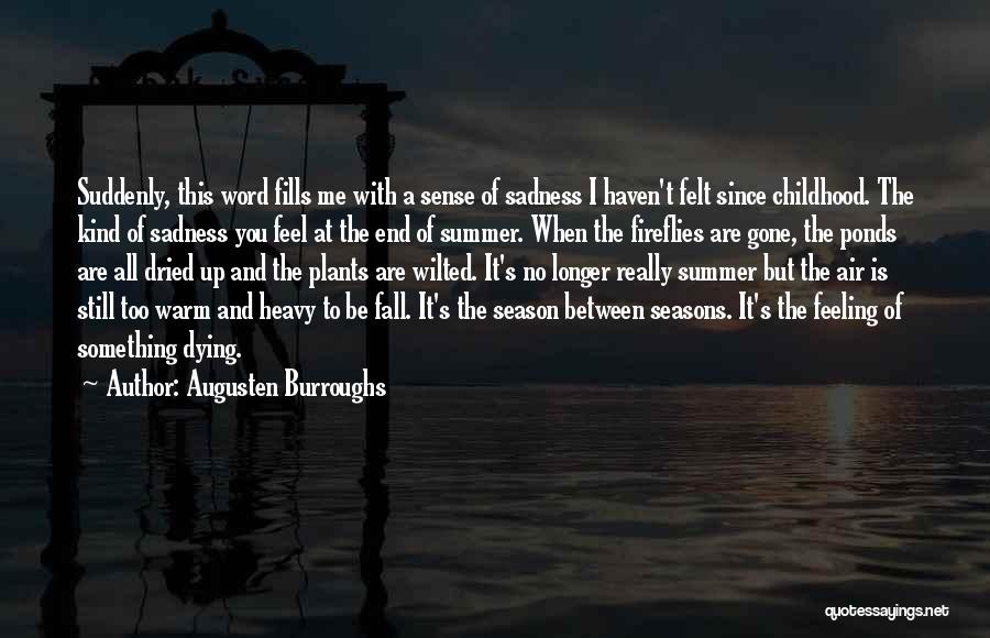 Summer Sadness Quotes By Augusten Burroughs