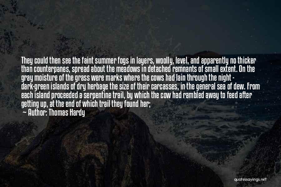 Summer Sea Quotes By Thomas Hardy