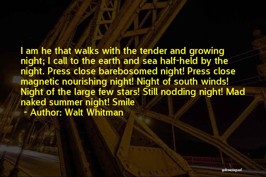 Summer Sea Quotes By Walt Whitman