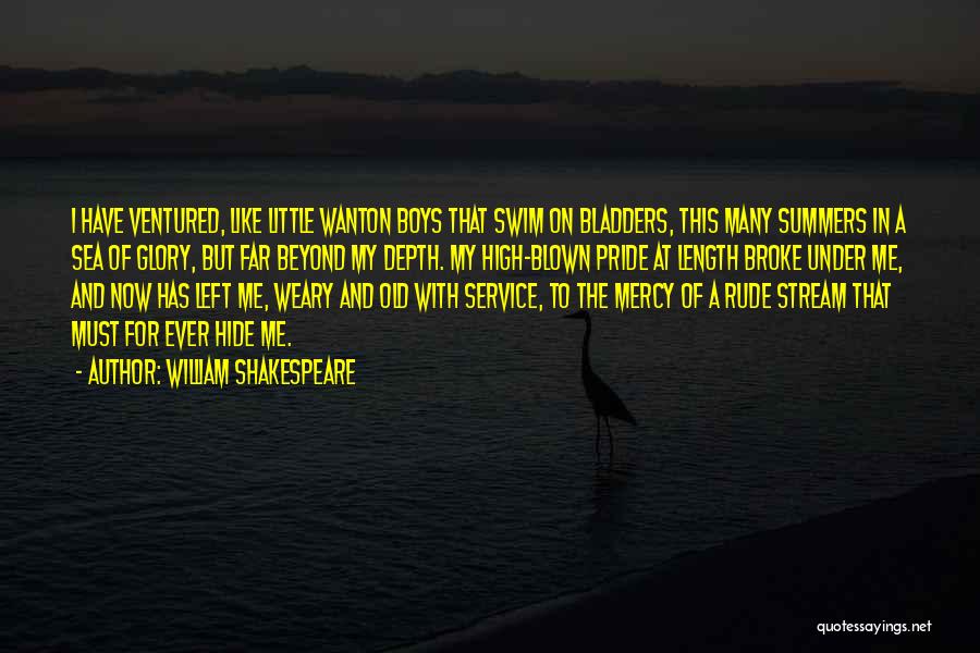 Summer Sea Quotes By William Shakespeare