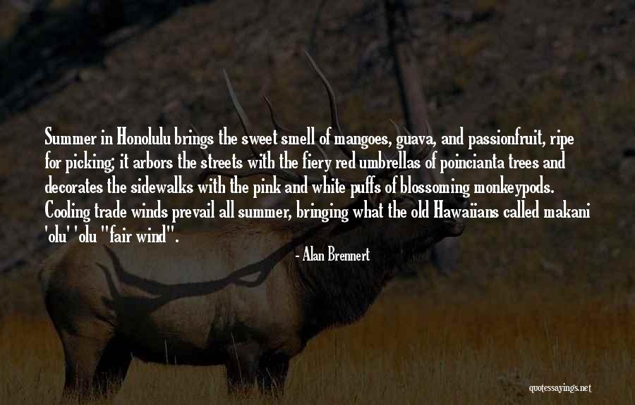 Summer Smell Quotes By Alan Brennert Summer Smell Quotes By Alan Brennert