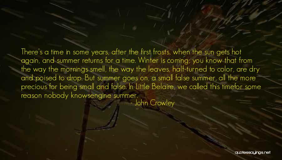 Summer Smell Quotes By John Crowley