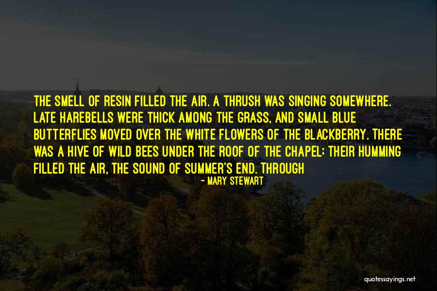 Summer Smell Quotes By Mary Stewart Summer Smell Quotes By Mary Stewart