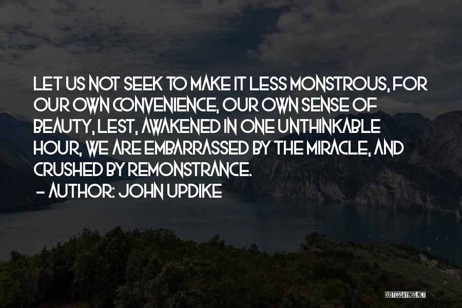 Summer Solstice Literary Quotes By John Updike