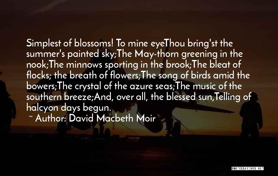 Summer Song Quotes By David Macbeth Moir