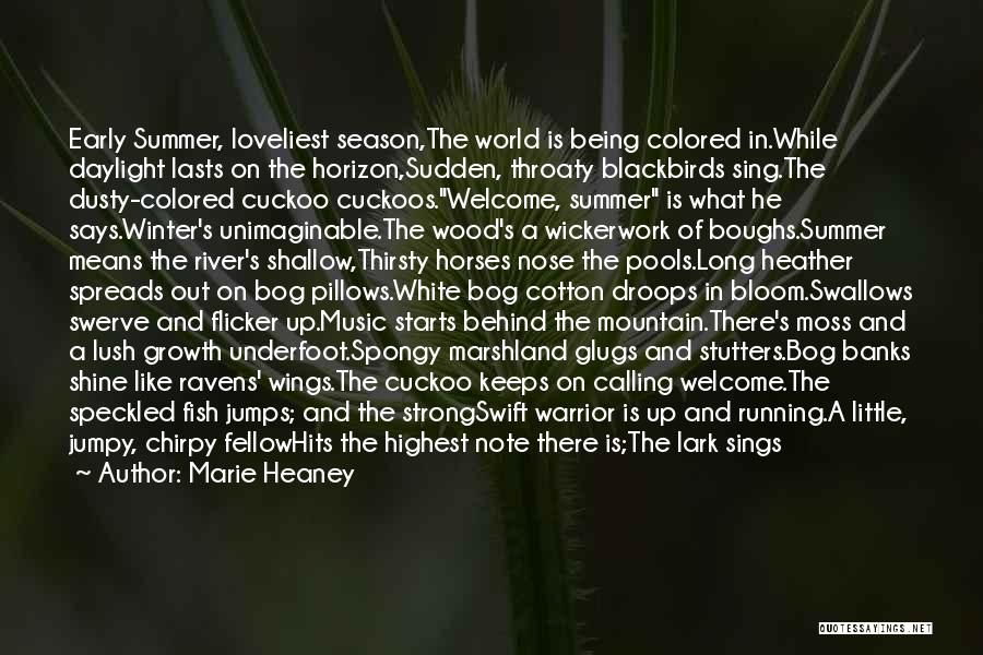 Summer Vs Winter Quotes By Marie Heaney