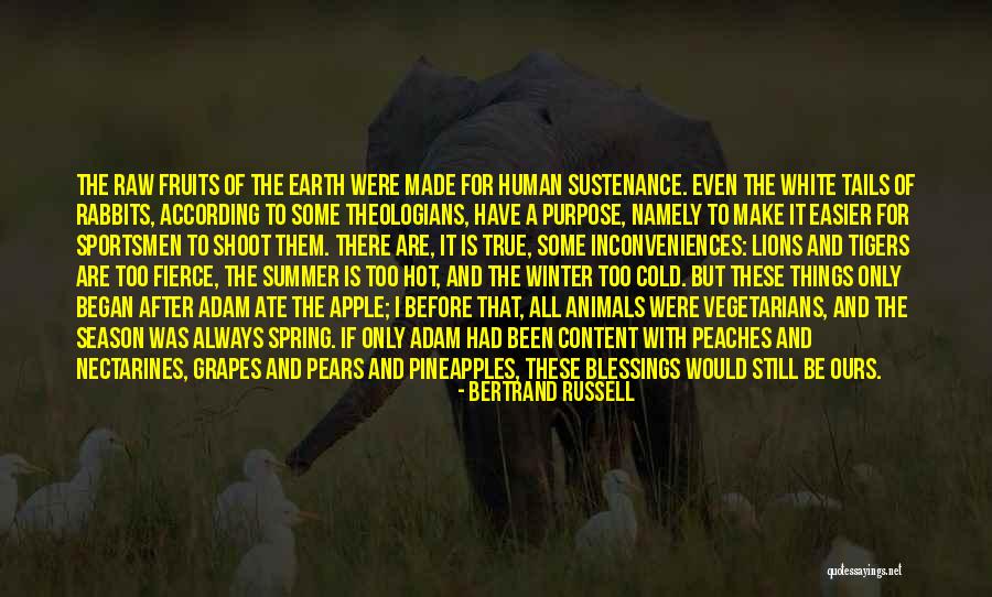 Summer Where It All Began Quotes By Bertrand Russell Summer Where It All Began Quotes By Bertrand Russell