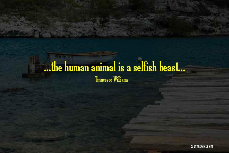 Summersault Returns Quotes By Tennessee Williams Summersault Returns Quotes By Tennessee Williams