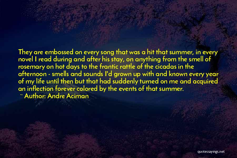 Summertime Quotes By Andre Aciman