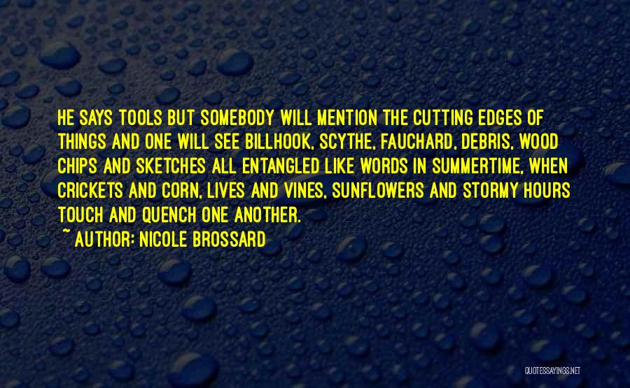 Summertime Quotes By Nicole Brossard