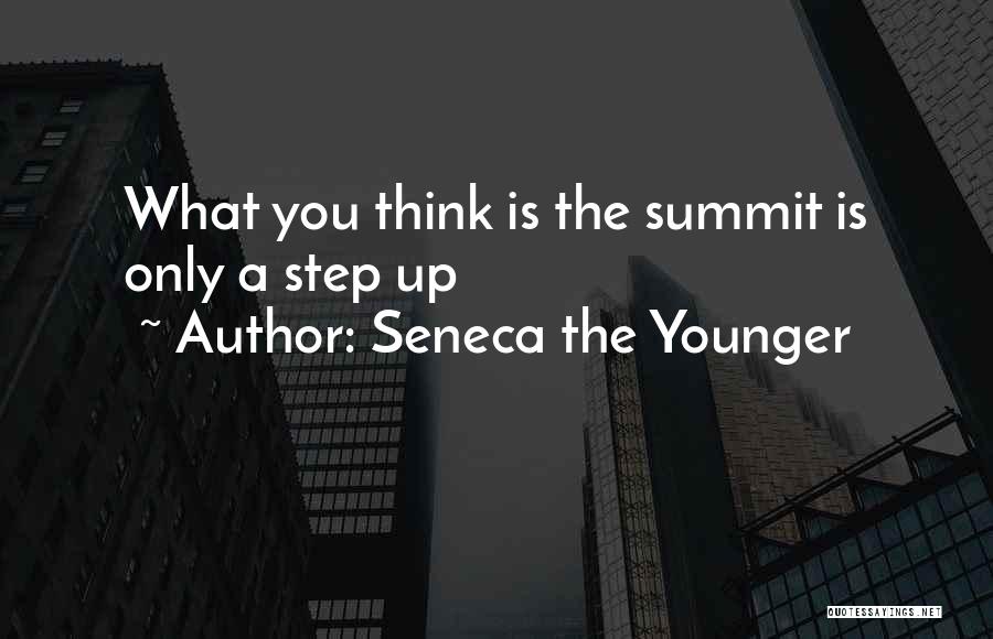 Summit Quotes By Seneca The Younger