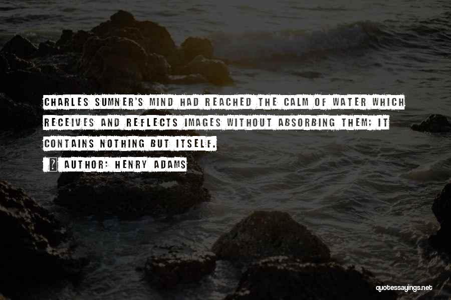 Sumner Quotes By Henry Adams