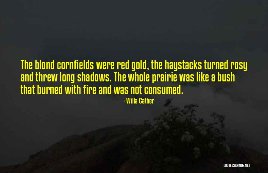 Sumpton Fl Quotes By Willa Cather Sumpton Fl Quotes By Willa Cather