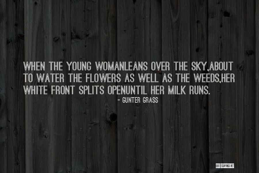 Sumptuary Quotes By Gunter Grass Sumptuary Quotes By Gunter Grass