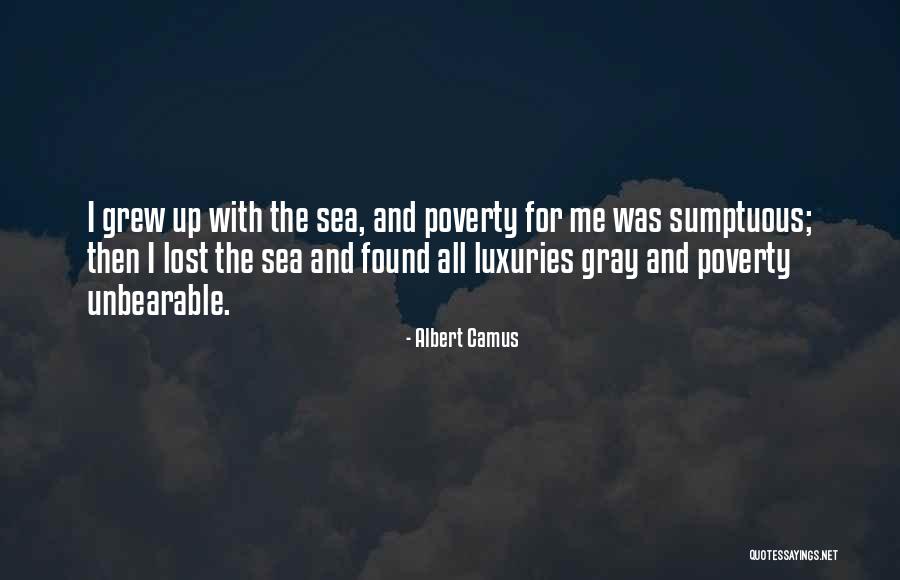 Sumptuous Quotes By Albert Camus