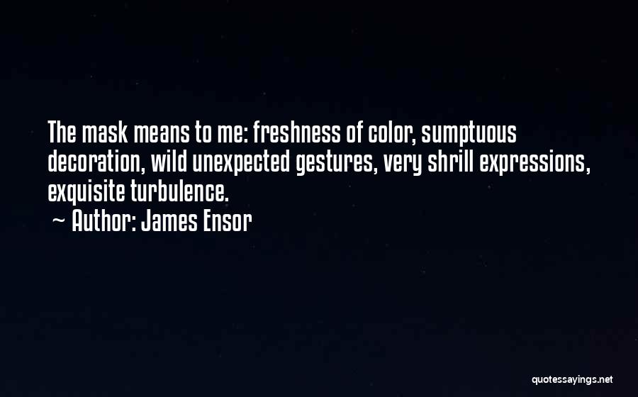 Sumptuous Quotes By James Ensor