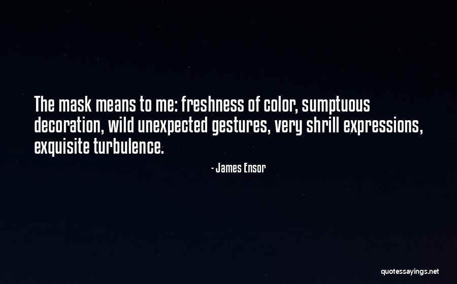 Sumptuous Quotes By James Ensor