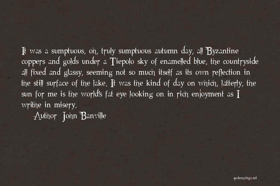 Sumptuous Quotes By John Banville