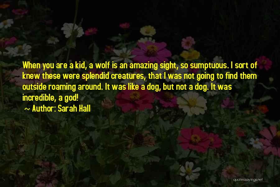 Sumptuous Quotes By Sarah Hall