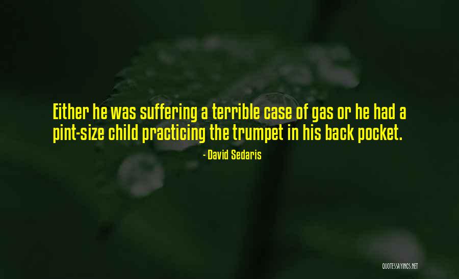 Sumudu Sayane Quotes By David Sedaris Sumudu Sayane Quotes By David Sedaris