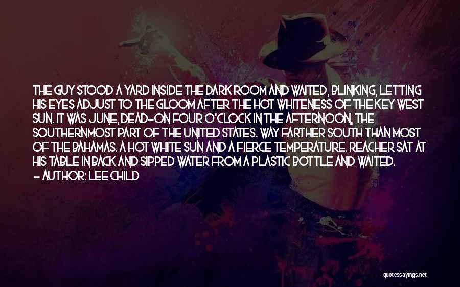 Sun After Dark Quotes By Lee Child