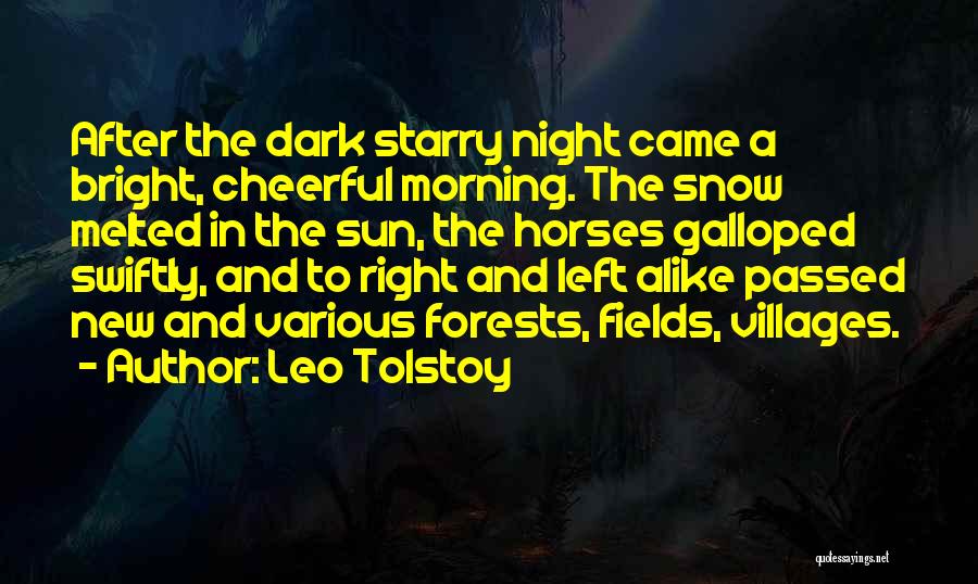 Sun After Dark Quotes By Leo Tolstoy