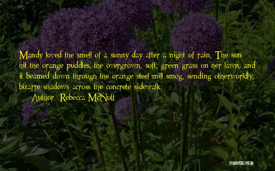 Sun After Rain Quotes By Rebecca McNutt