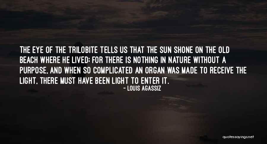 Sun And Beach Quotes By Louis Agassiz