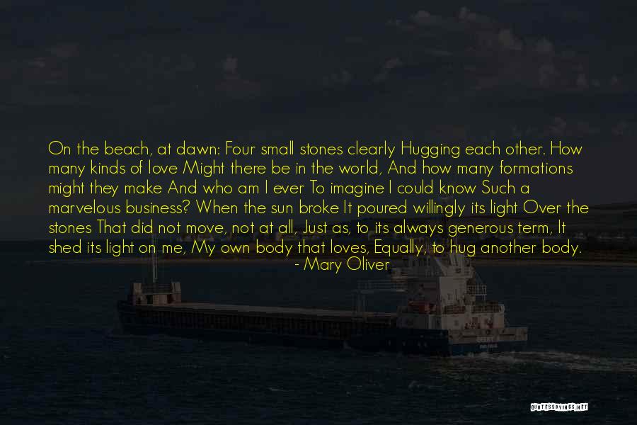 Sun And Beach Quotes By Mary Oliver Sun And Beach Quotes By Mary Oliver