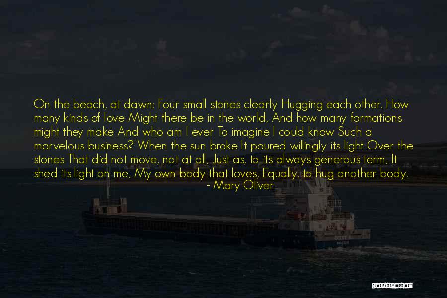 Sun And Beach Quotes By Mary Oliver